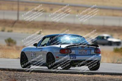 media/Mar-08-2025-Extreme Speed (Sat) [[4abb97269e]]/Gold/Turns 2  and  4 (Session 2)/